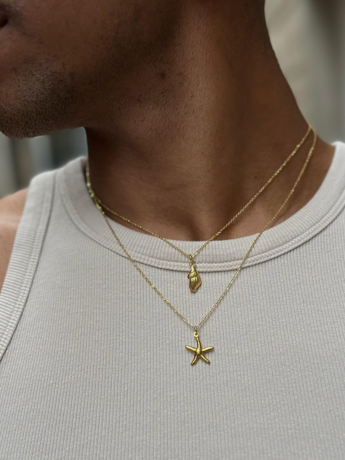 Estrella de mar - By_Handesign